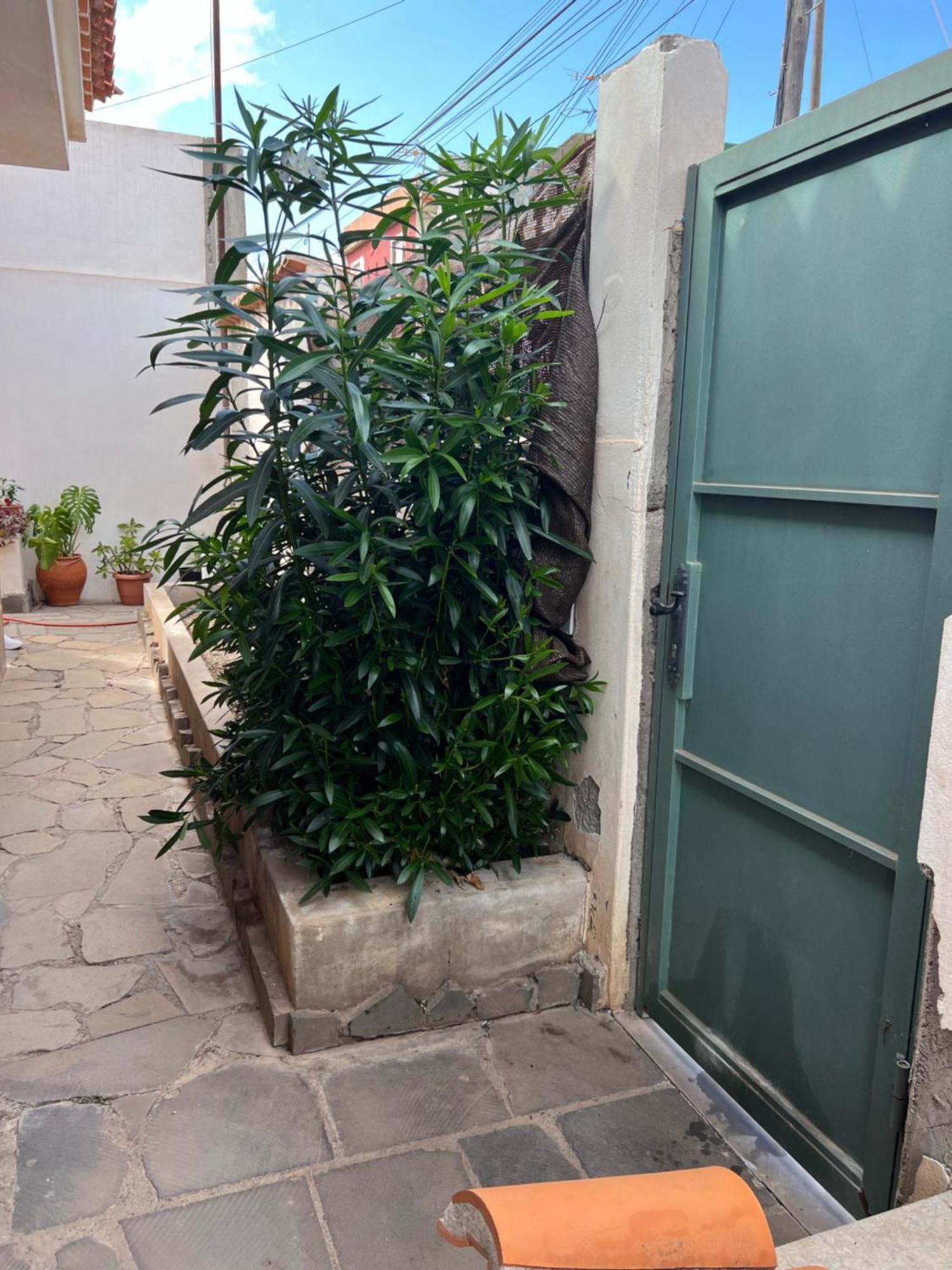 Atico Casa De Invitados Bluemoon La Laguna  Exterior photo